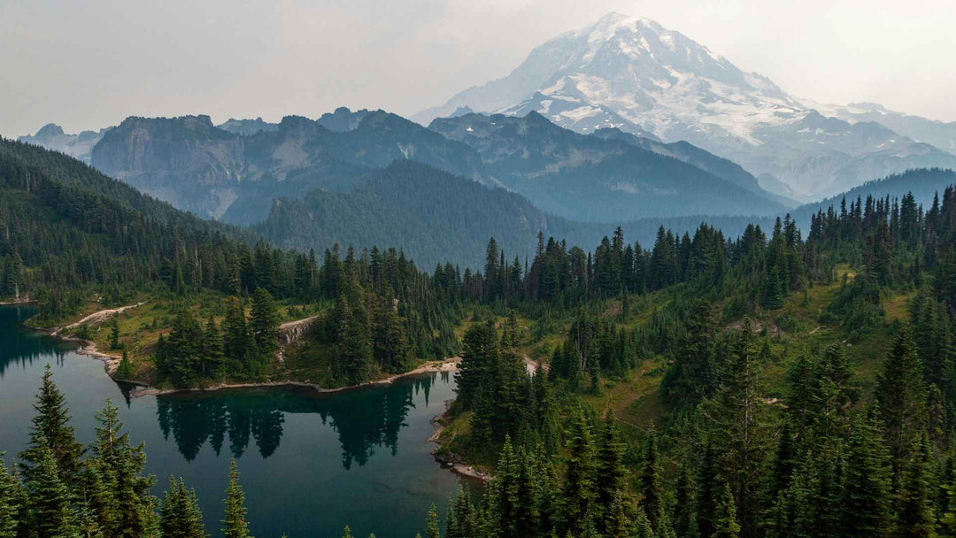 Best National Parks Near Me: How to Find Parks Within Driving Distance