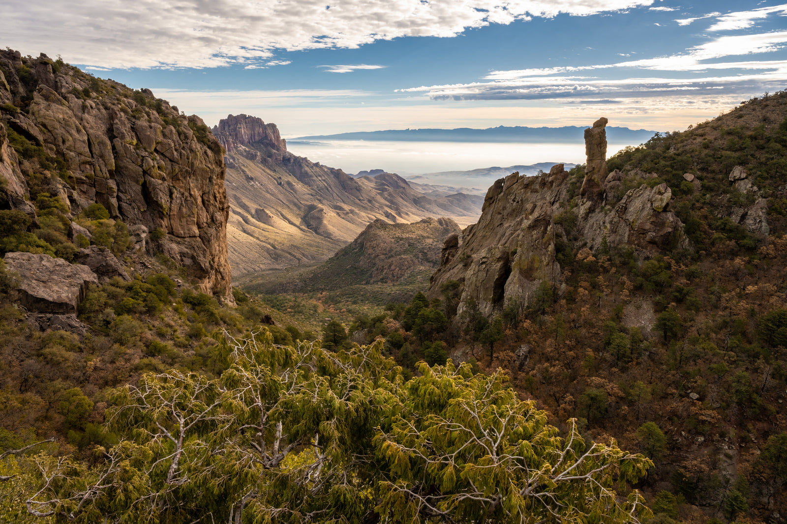 Explore the Enchanting Beauty of Big Bend National Park