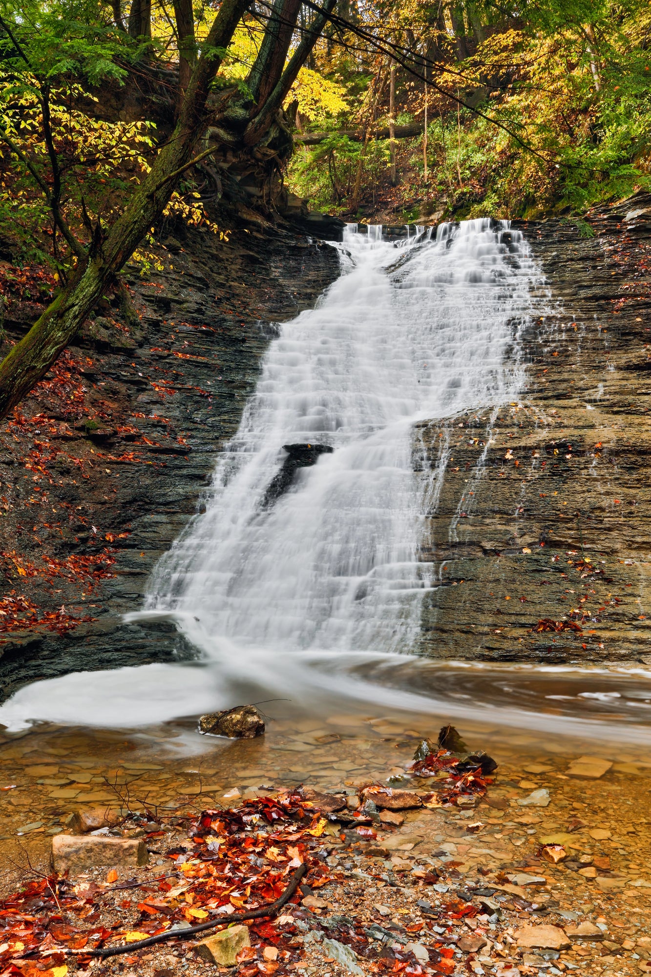 Explore the Wonders of Cuyahoga Valley National Park
