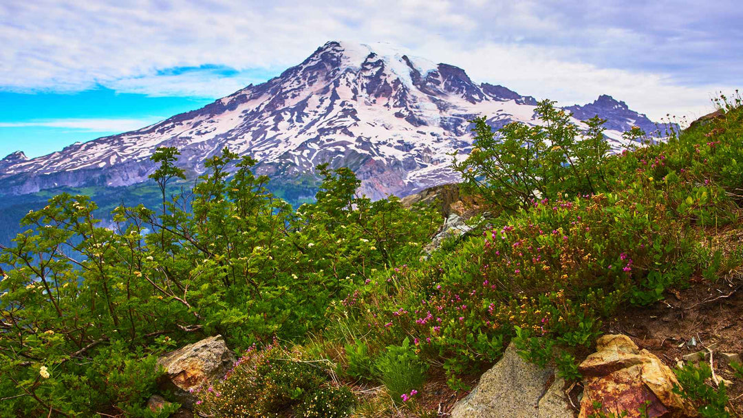 National Parks Ranked by Difficulty: Easy to Extreme Adventures