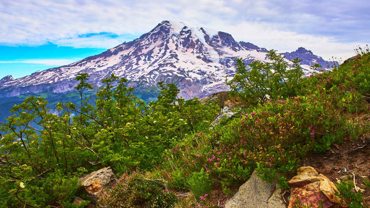 National Parks Ranked by Difficulty | Park-Posters