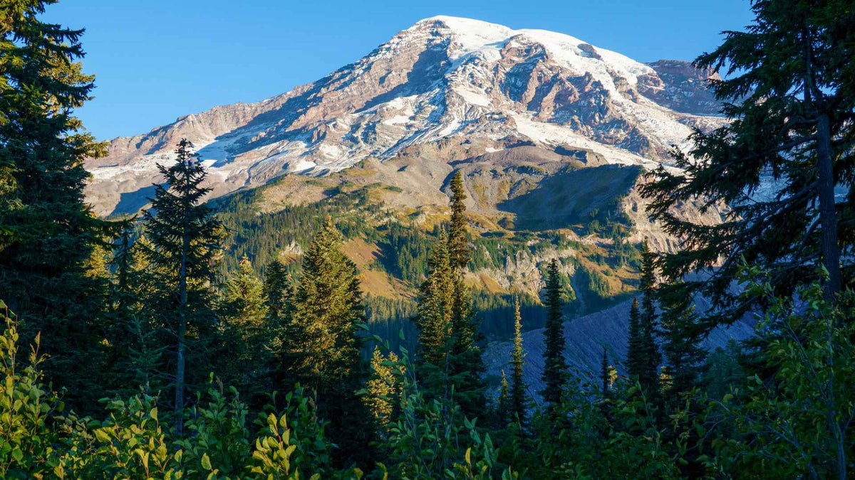 Olympic & Mount Rainier Road Trip | Park-Posters
