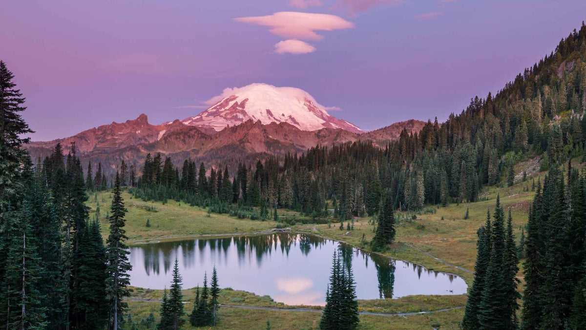 Olympic vs. Mount Rainier | Park-Posters