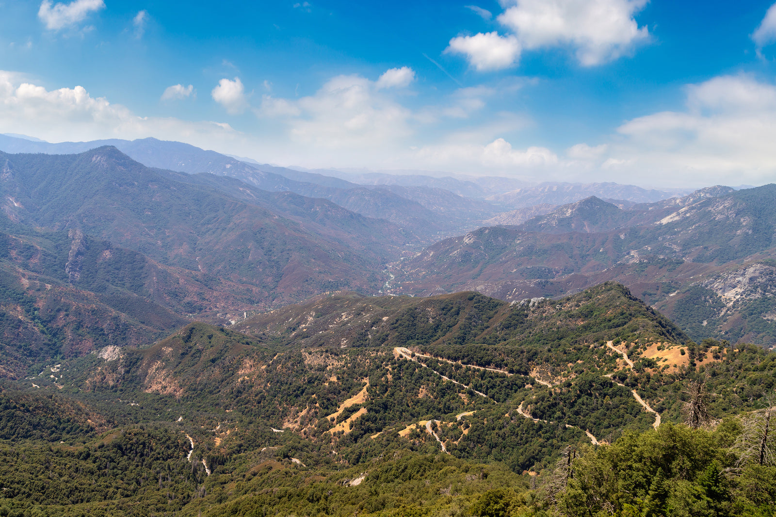 Discover the Treasures of Sequoia National Park and the U.S. National Parks