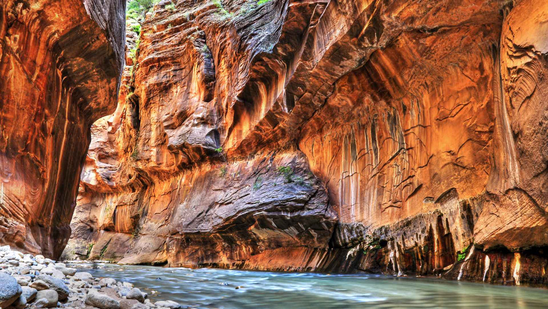 The Best National Parks for Adventure Seekers and Thrill Lovers