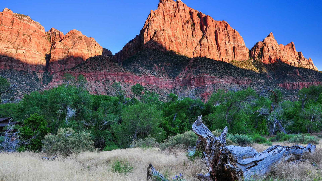 The Best National Parks for Sunrise Views and Early Morning Adventures