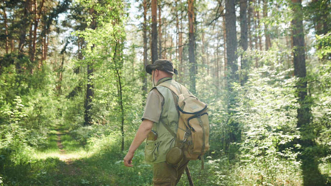 What Does a National Park Ranger Do? Behind the Scenes of America's Parks