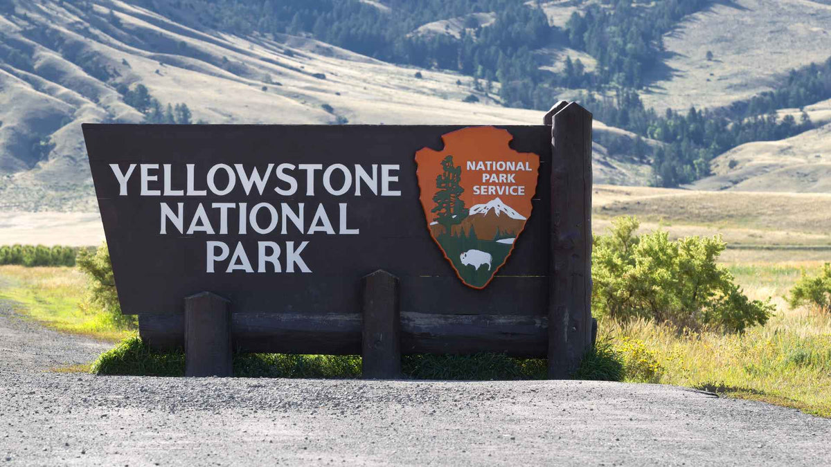 Yellowstone & Grand Teton Road Trip | Park-Posters