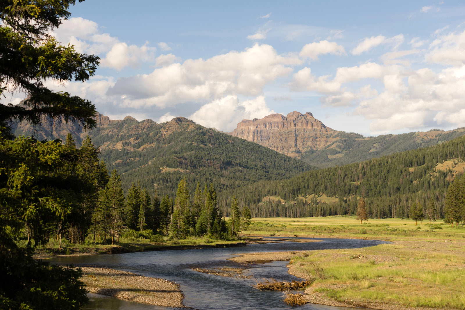 Discover the Untamed Beauty of Yellowstone National Park