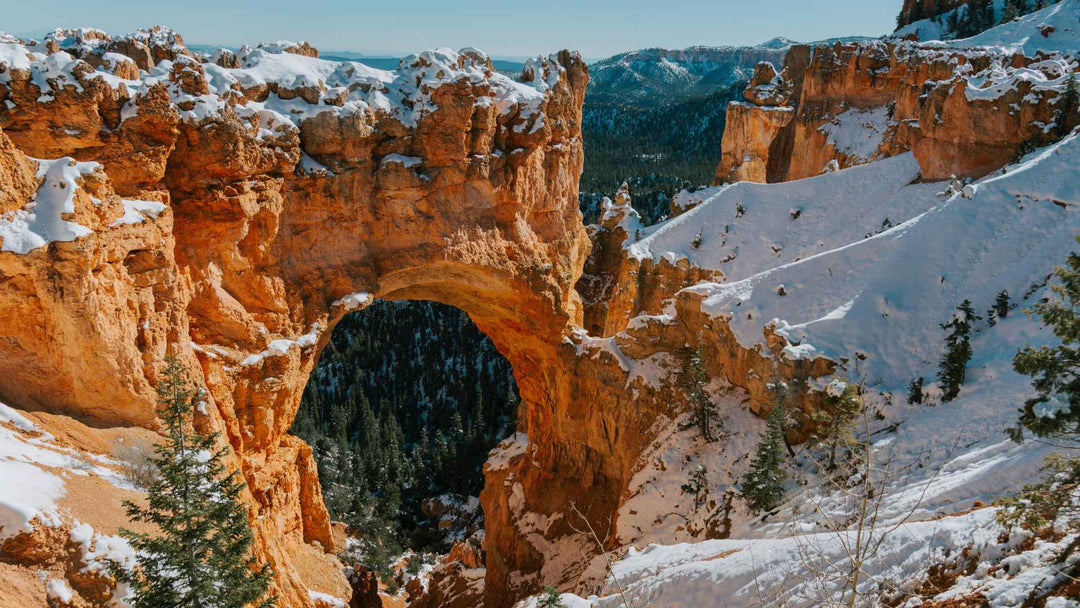 Zion vs. Bryce Canyon: Which National Park Should You Visit?