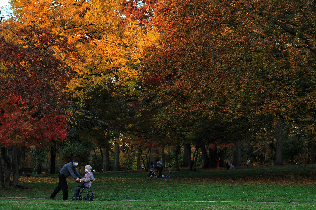 Fall Colors & Fewer Crowds: 7 Parks to Explore in Autumn
