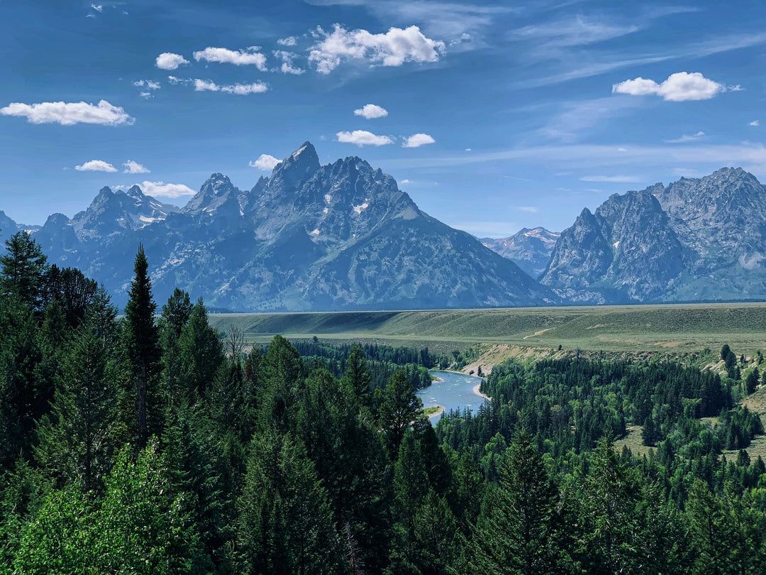 Hidden Gems: Underrated Parks That Make Stunning Wall Art