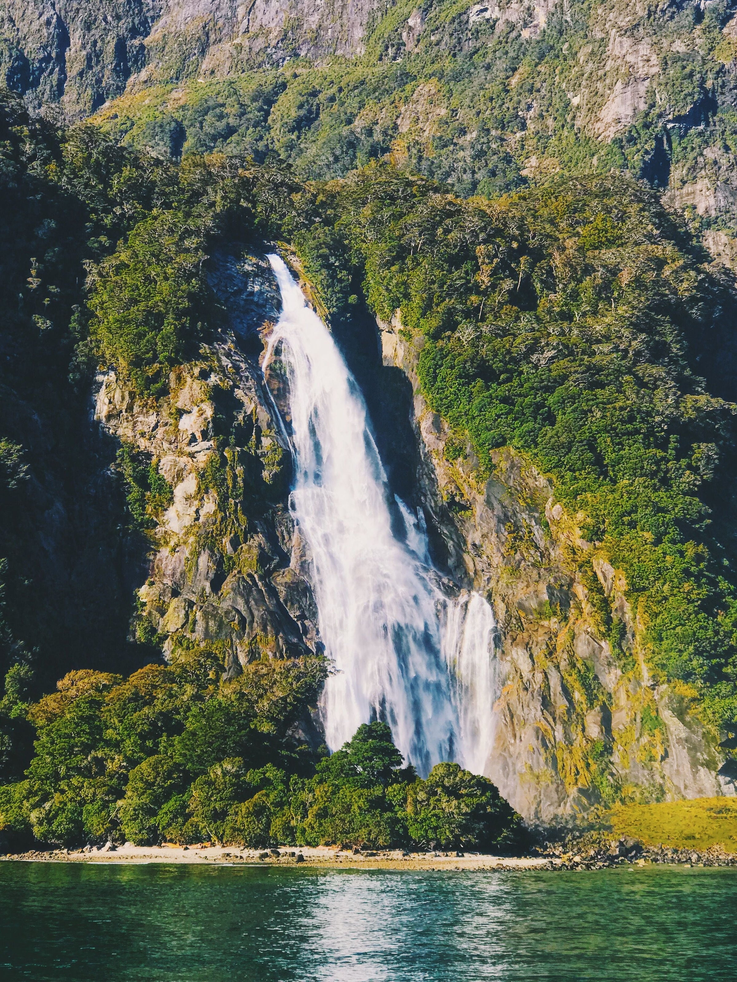 Fiordland National Park Posters