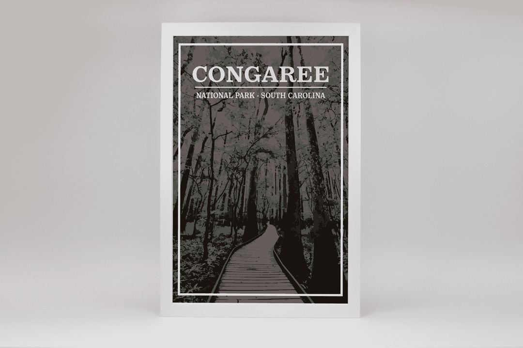 Congaree National Park Print | Vintage Style