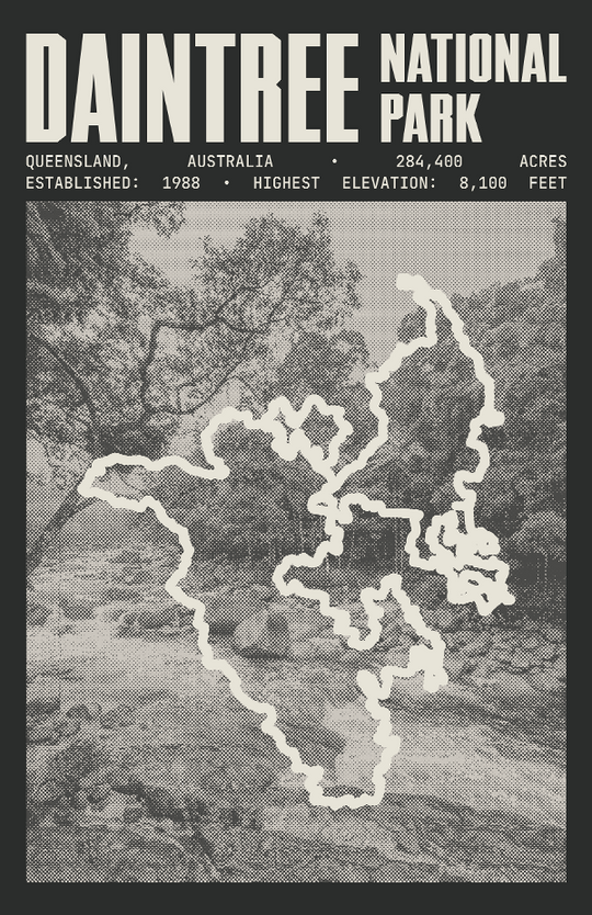 Daintree National Park Poster