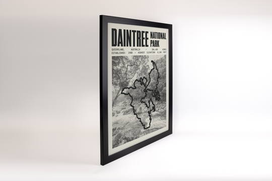 Daintree National Park Poster
