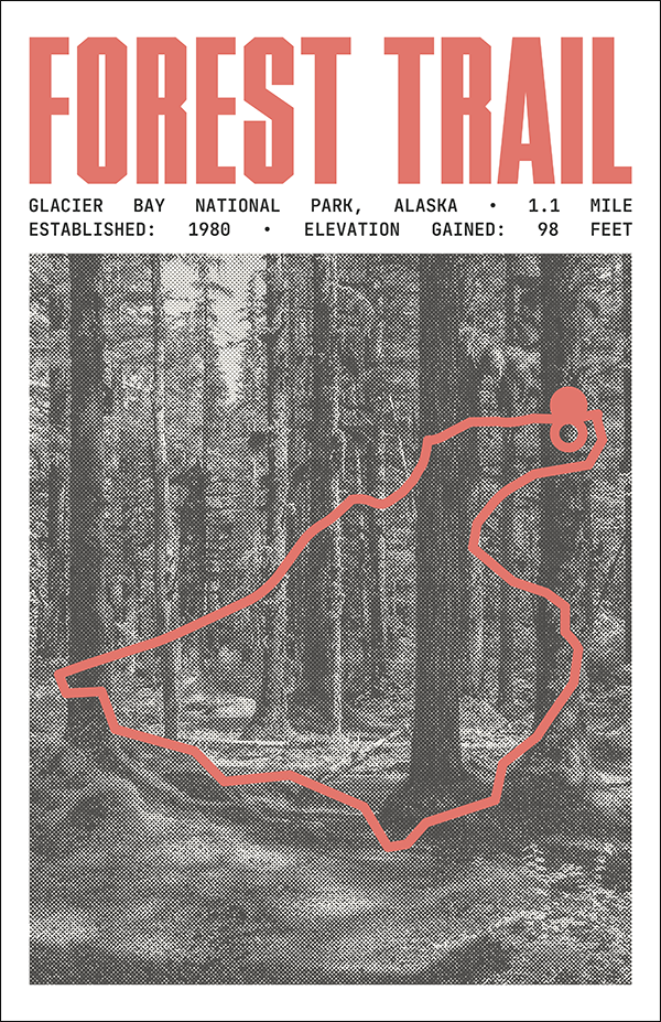 Forest Trail Poster | Glacier Bay National Park Prints