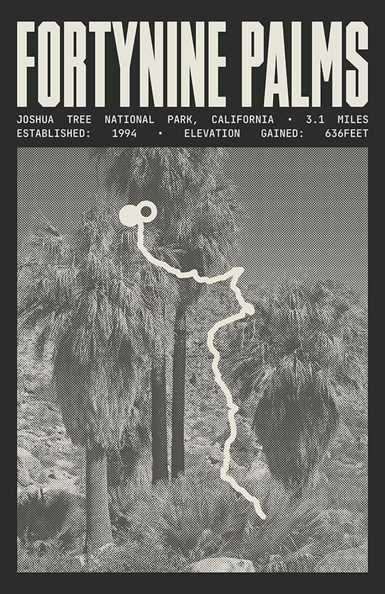 Fortynine Palms Oasis Trail Poster | Joshua Tree National Park Prints