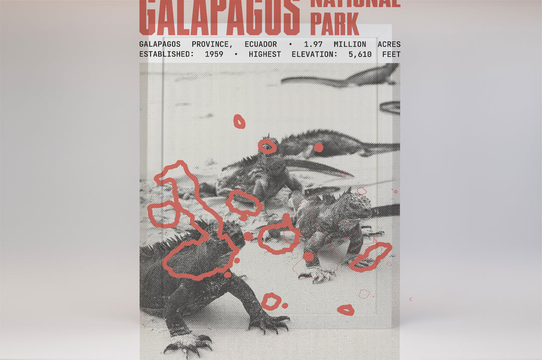 Galapagos National Park Poster