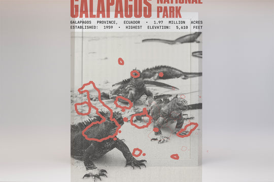 Galapagos National Park Poster