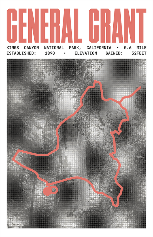 General Grant Trail Poster | Kings Canyon National Prints