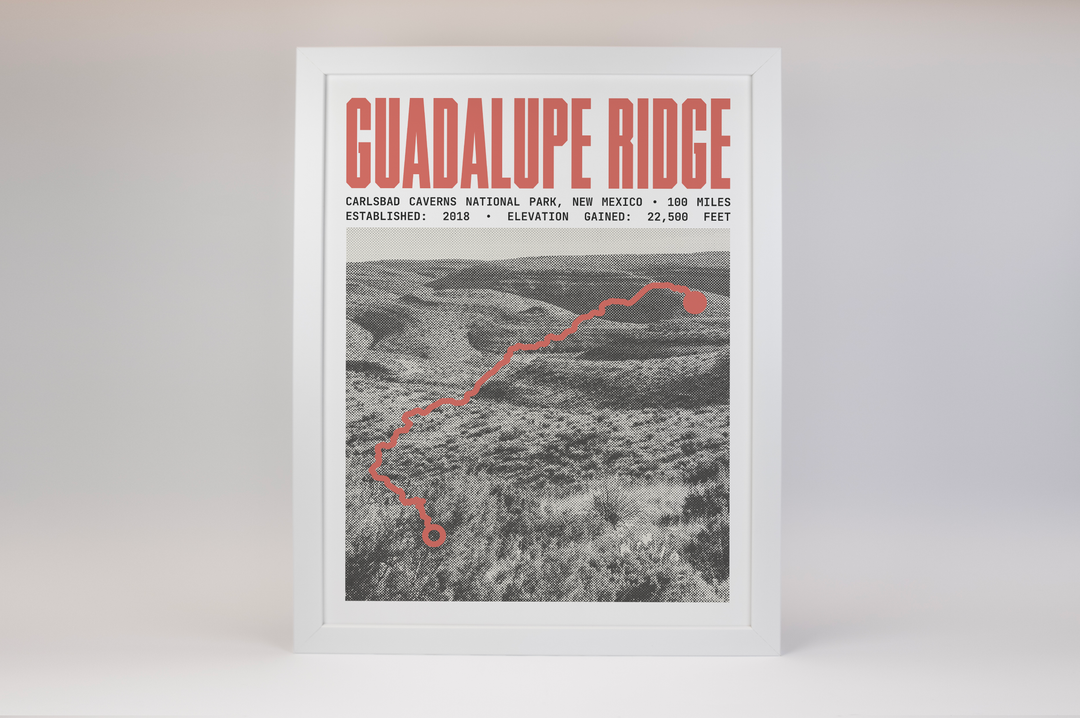 Guadalupe Ridge Trail Poster | Carlsbad Caverns National Park Prints