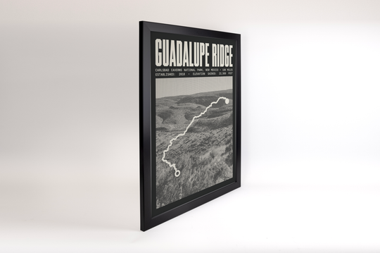 Guadalupe Ridge Trail Poster | Carlsbad Caverns National Park Prints