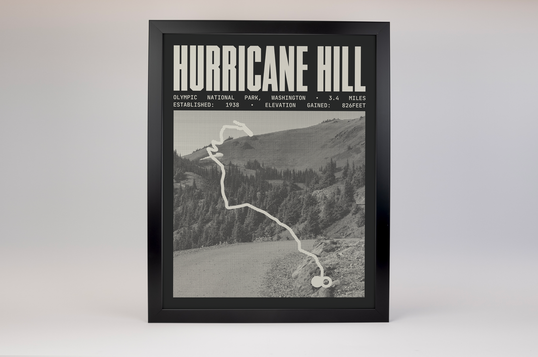 Hurricane Hill Poster | Olympic National Park Prints