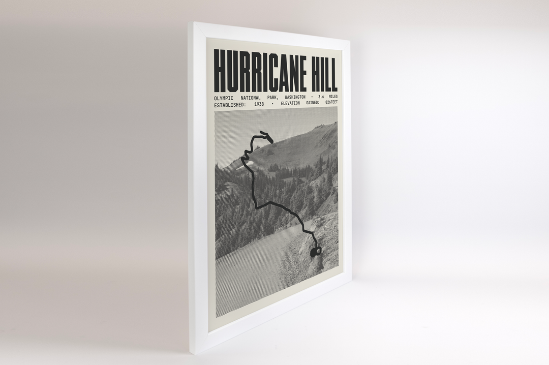 Hurricane Hill Poster | Olympic National Park Prints