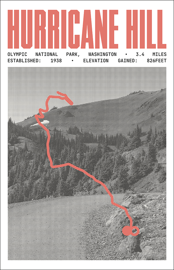 Hurricane Hill Poster | Olympic National Park Prints