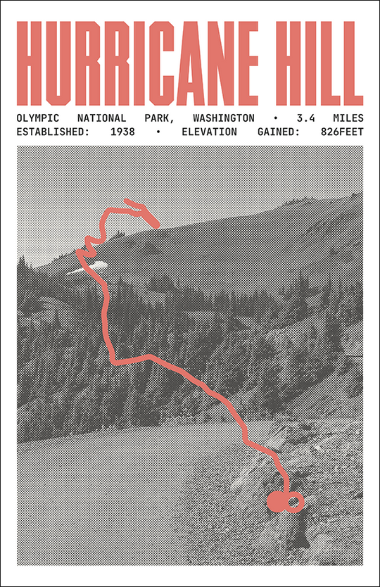 Hurricane Hill Poster | Olympic National Park Prints