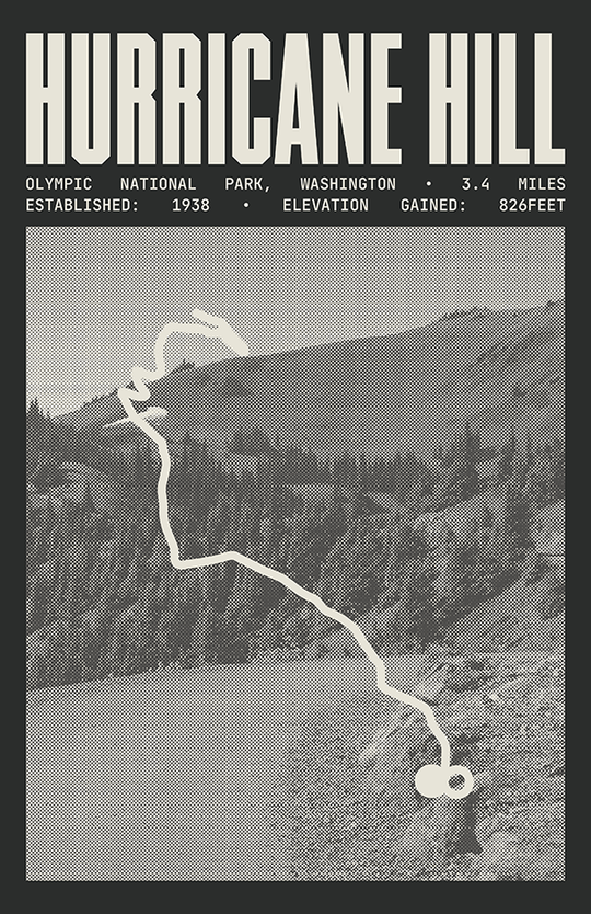 Hurricane Hill Poster | Olympic National Park Prints
