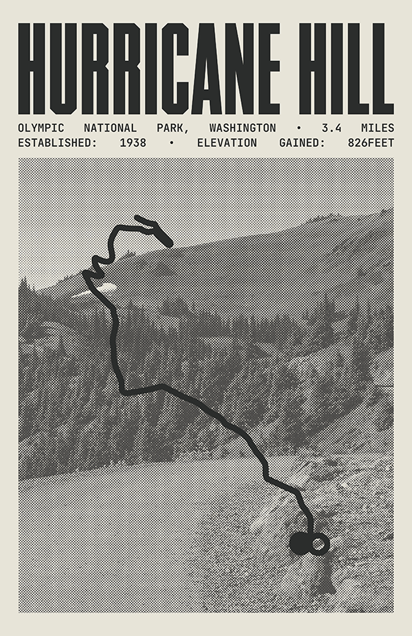 Hurricane Hill Poster | Olympic National Park Prints