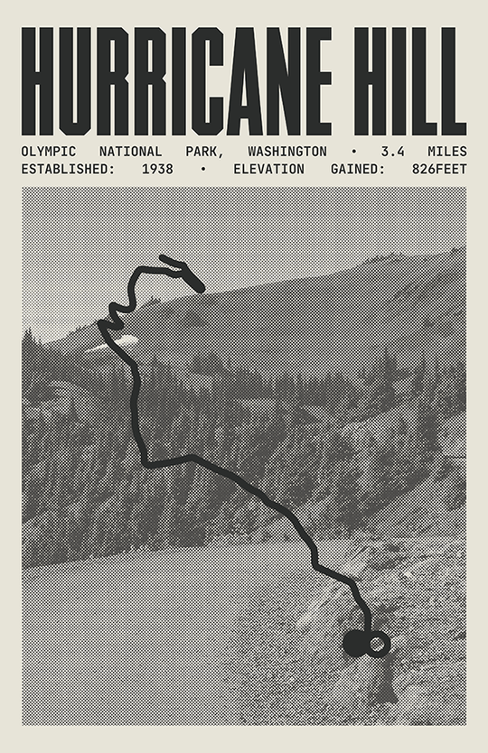 Hurricane Hill Poster | Olympic National Park Prints