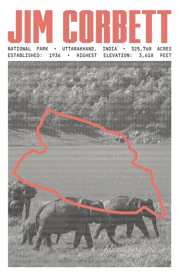 Jim Corbett National Park Poster