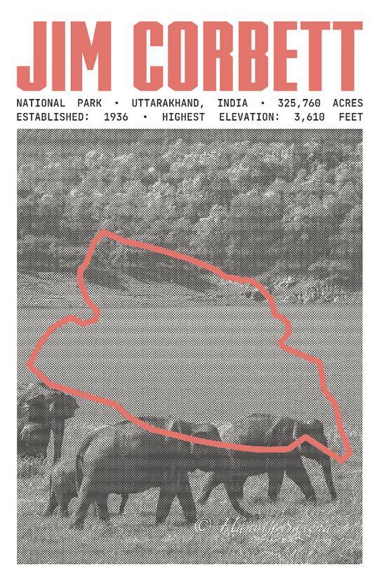 Jim Corbett National Park Poster