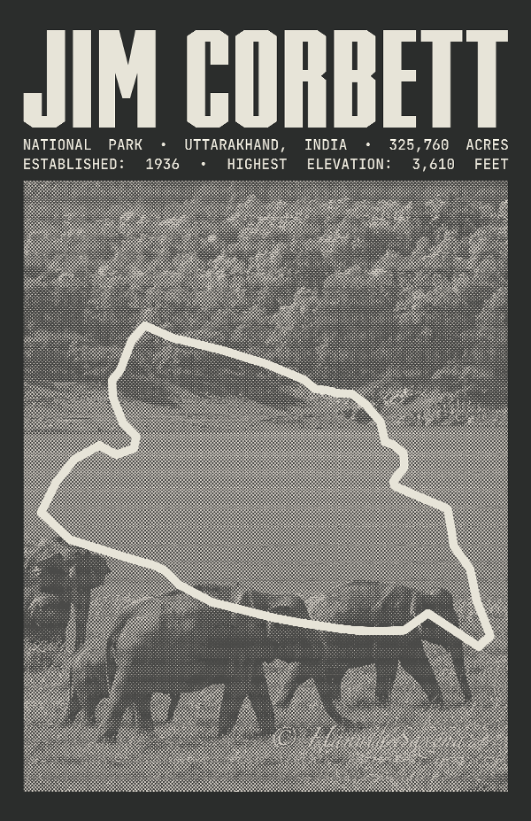 Jim Corbett National Park Poster