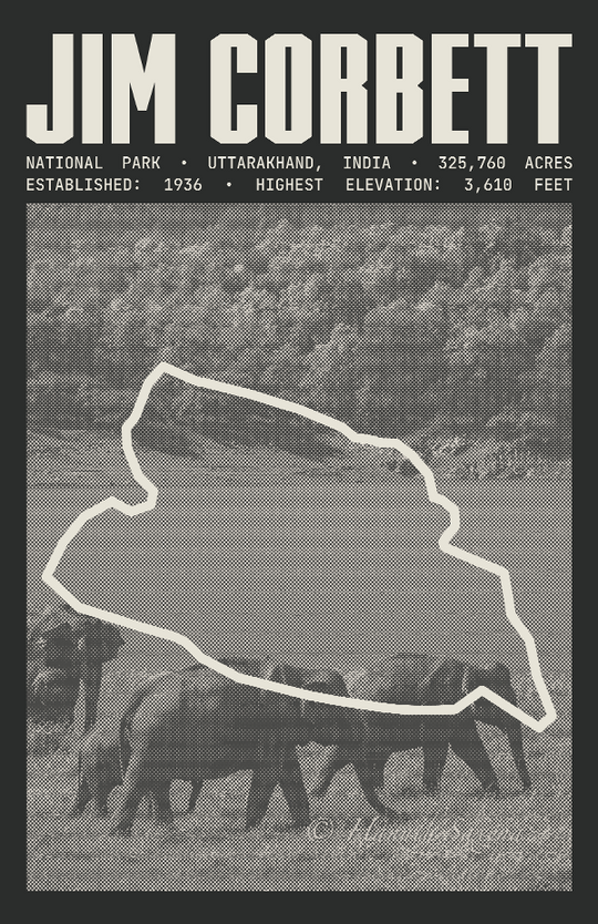Jim Corbett National Park Poster