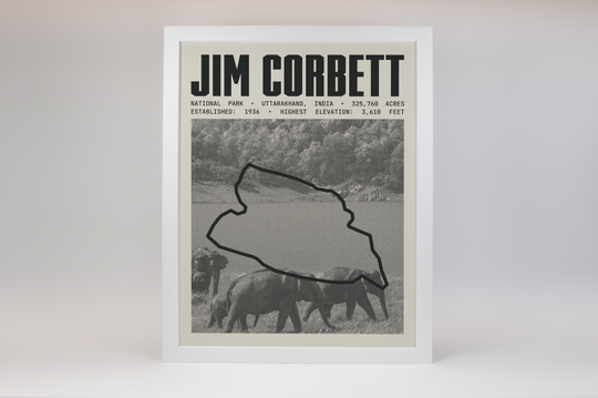 Jim Corbett National Park Poster