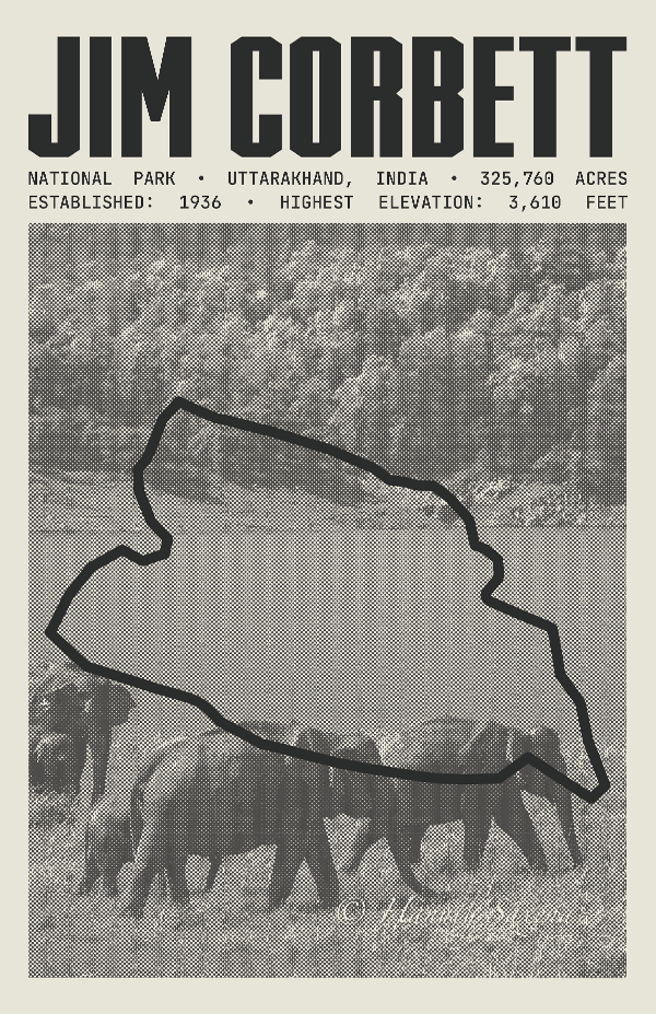 Jim Corbett National Park Poster