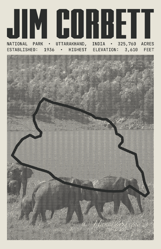 Jim Corbett National Park Poster