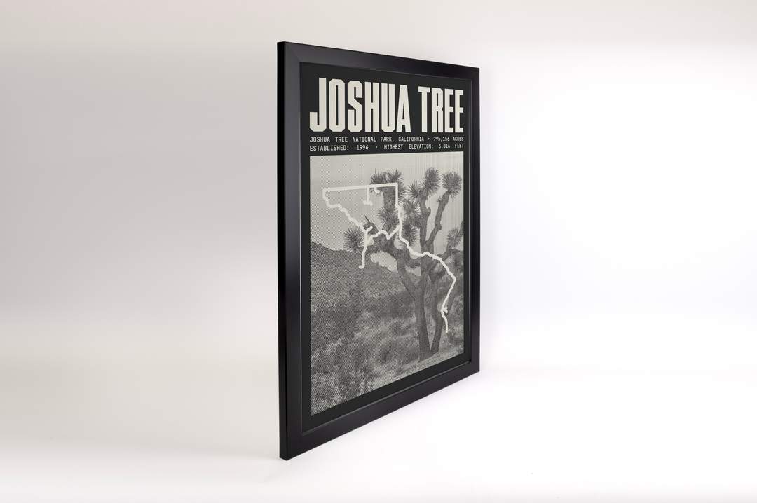 Joshua Tree National Park Poster
