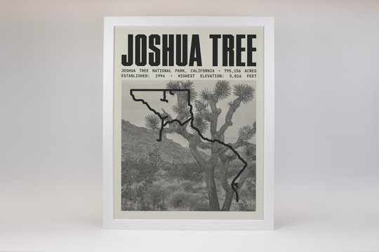 Joshua Tree National Park Poster