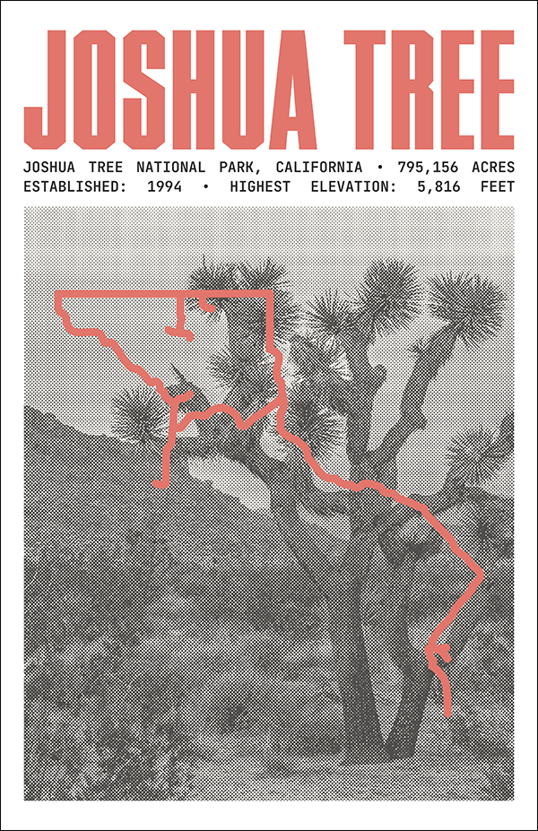 Joshua Tree National Park Poster