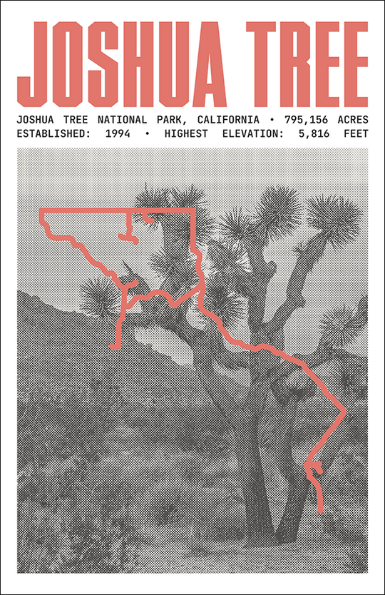 Joshua Tree National Park Poster