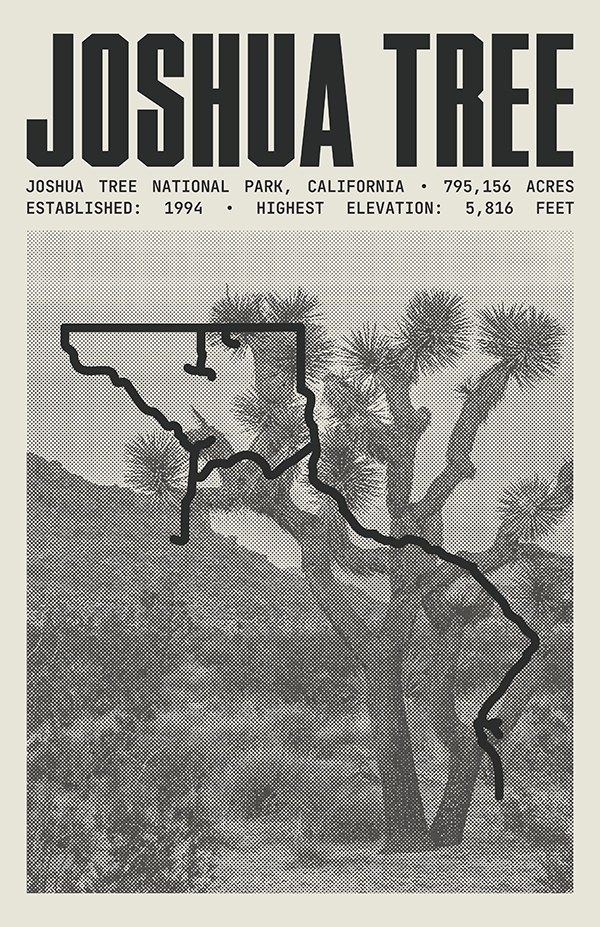 Joshua Tree National Park Poster