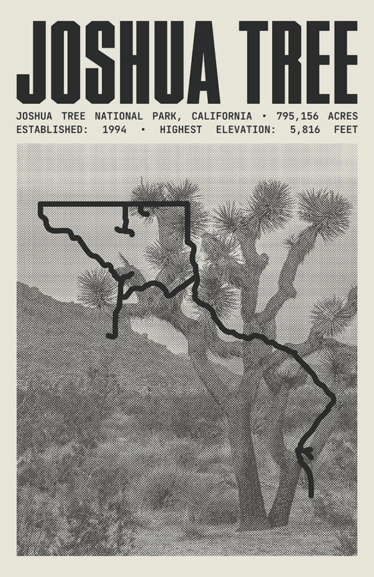 Joshua Tree National Park Poster