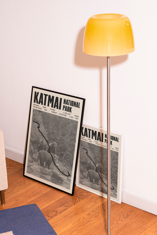 Katmai National Park Poster