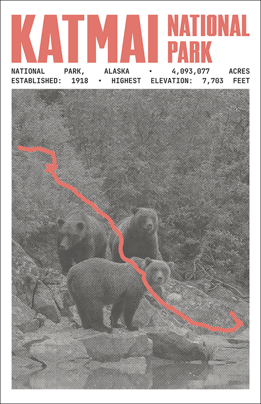 Katmai National Park Poster
