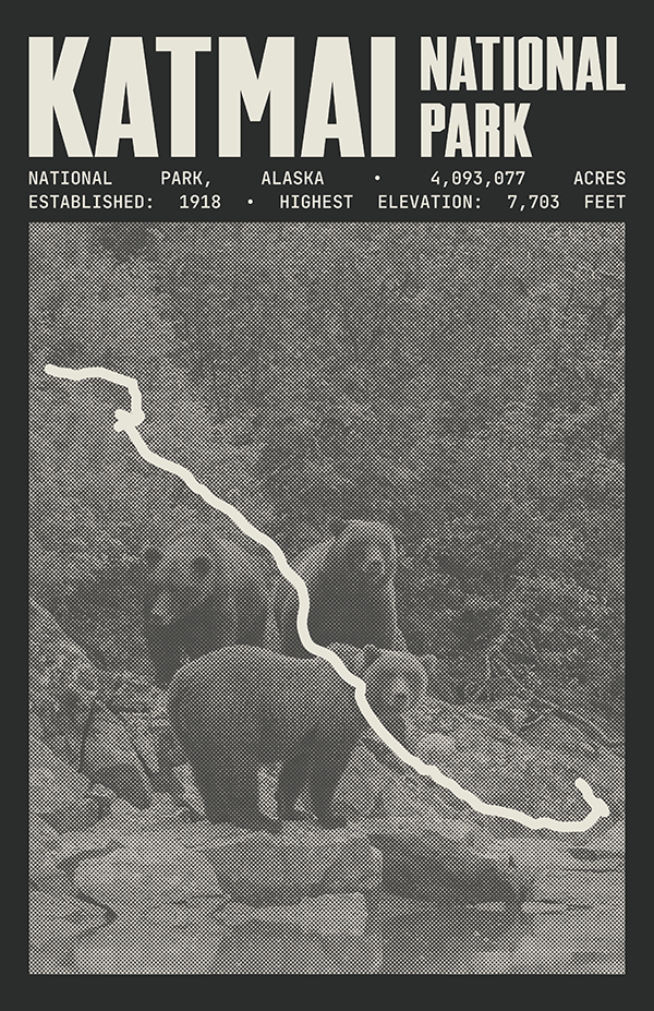 Katmai National Park Poster